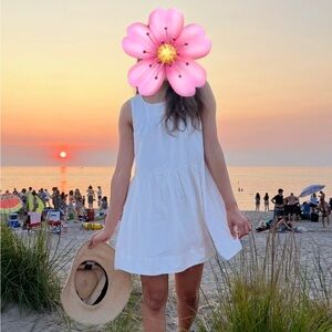 Aritzia Wilfred Baby Doll Dress